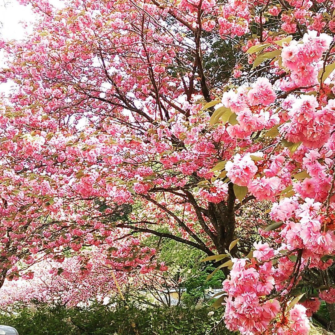 Ayameya Ryokan Nakanojo Bagian luar foto